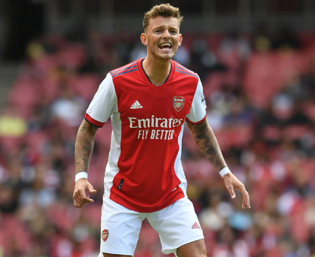 YY体育- 阿森纳名将 